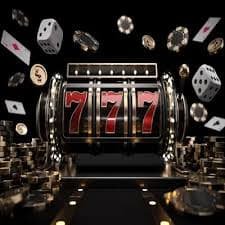 6z bet
