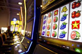 6z bet