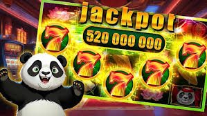 6z bet